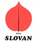Geoplin Slovan Analysis