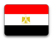 Egypt Wiretap