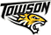 Towson Tigers Articles