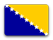 Bosnia and Herzegovina Wiretap