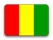 Guinea Wiretap